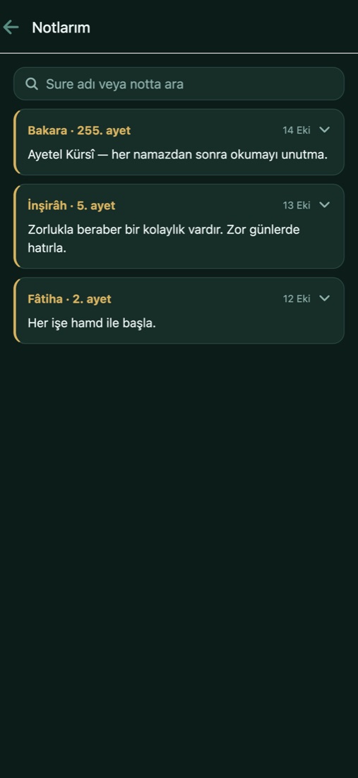 Notlarım